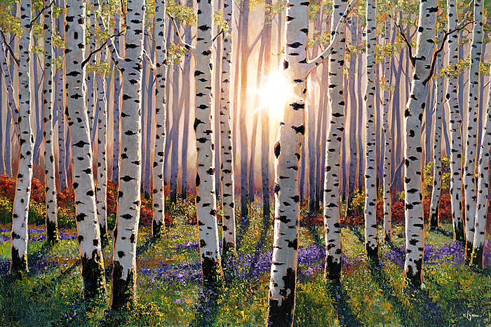 Bob pejman _ Aspens Magical Morning